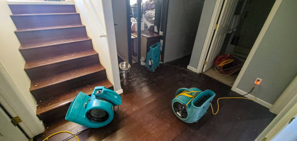 24/7 water damage repair in AZ