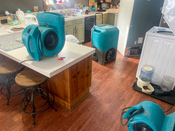 Best Residential water damage restoration  in Mohave Valley, AZ