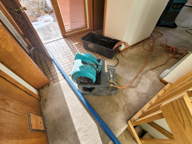 Carpet water damage restoration in AZ