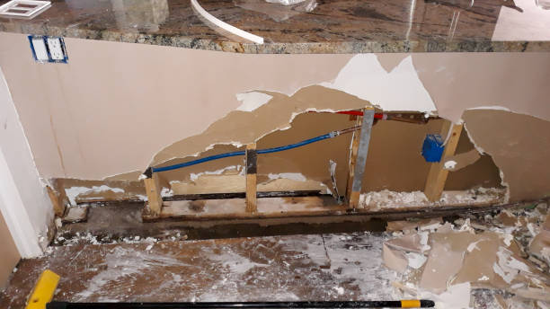 Best 24-hour water damage restoration  in Mohave Valley, AZ