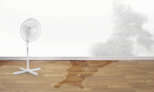 Best Water damage restoration experts  in Mohave Valley, AZ