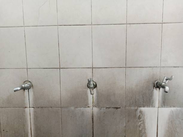 Best Fire Damage Restoration  in Mohave Valley, AZ