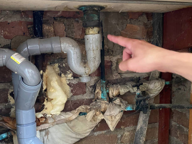 Best Flood damage cleanup  in Mohave Valley, AZ