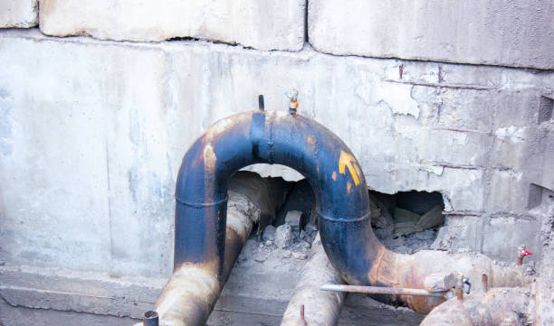 Best Emergency water damage restoration  in Mohave Valley, AZ